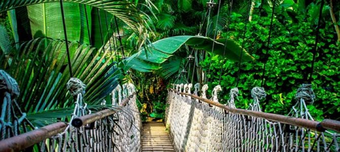 Vacanta la Tropical Islands Berlin cu 179 eur (zbor, cazare si bilet acces inclus) Vacanta la Tropical Islands Berlin cu 179 eur (zbor, cazare si bilet acces inclus)
