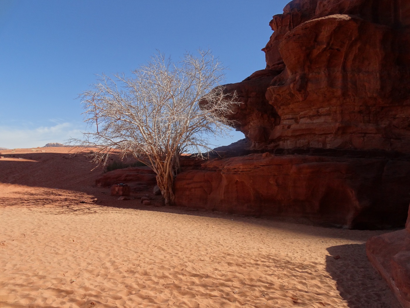 desertul Wadi Rum Iordania 