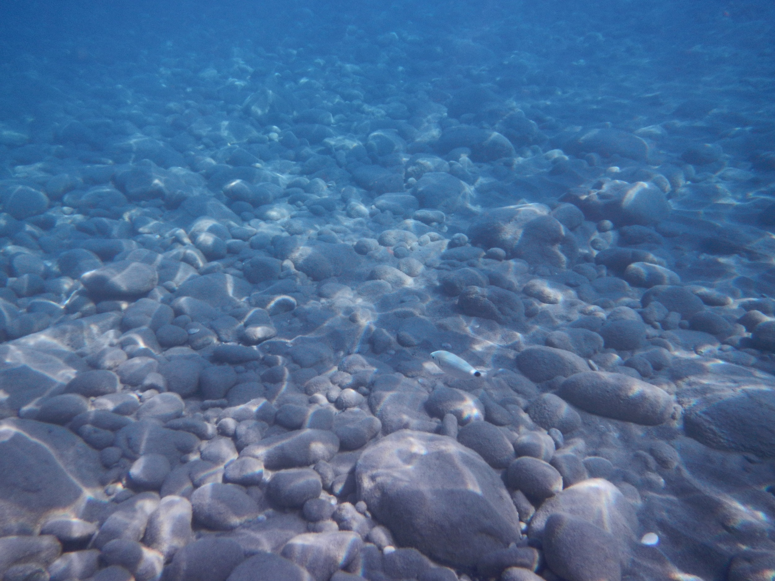 plaja cu nisip negru insula Creta | Creta Grecia |