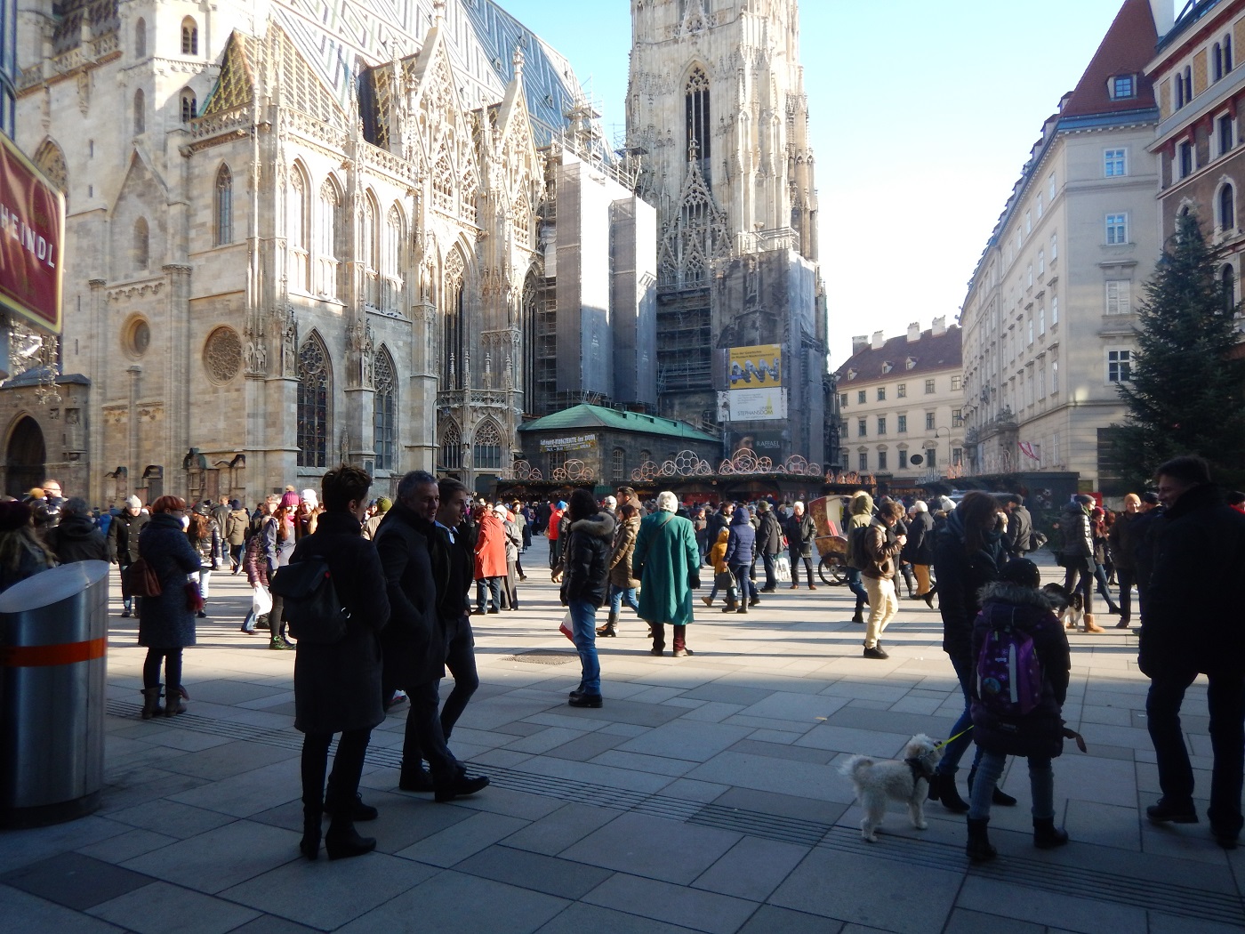 stephansdom viena | catedrala sf stefan viena |