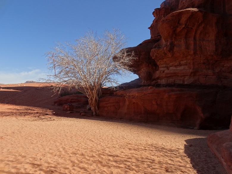 Desertul Wadi Rum | desert Iordania |