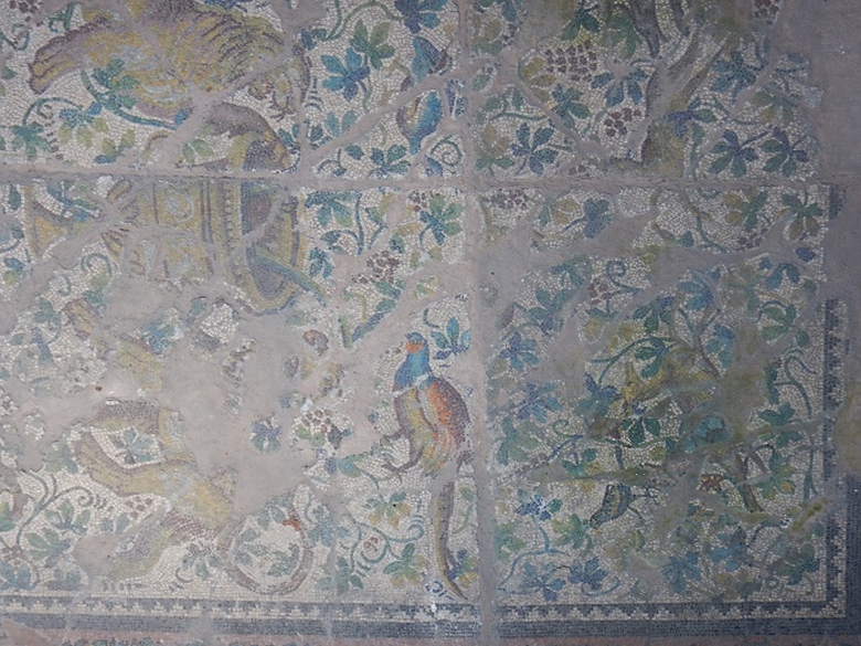 mozaic Muzeul de Arheologie Izmir