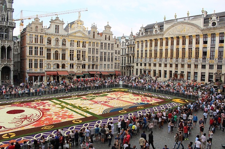 Flower carpet | Bruxelles |