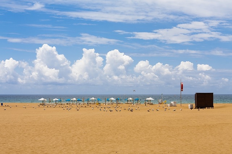 Plaja Meia | Algarve | Portugalia |