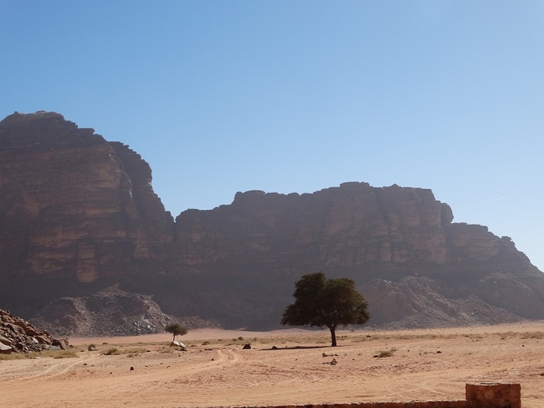 Desertul Wadi rum Iordania 