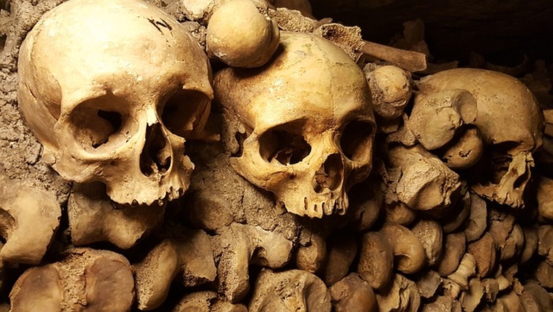 Catacombe Paris | osuar | locuri stranii |