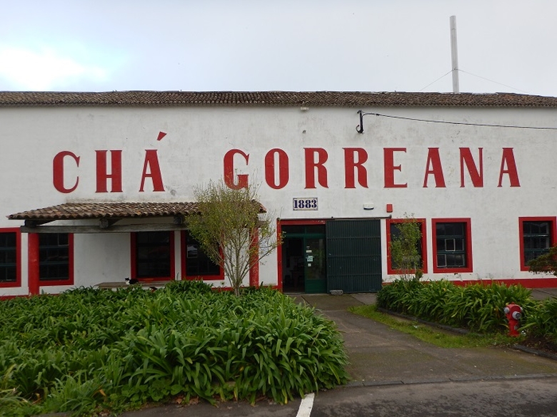 Fabrica de ceai Gorreana | Gorreana | ceai Azore | | ceai de Azore | ceai negru |