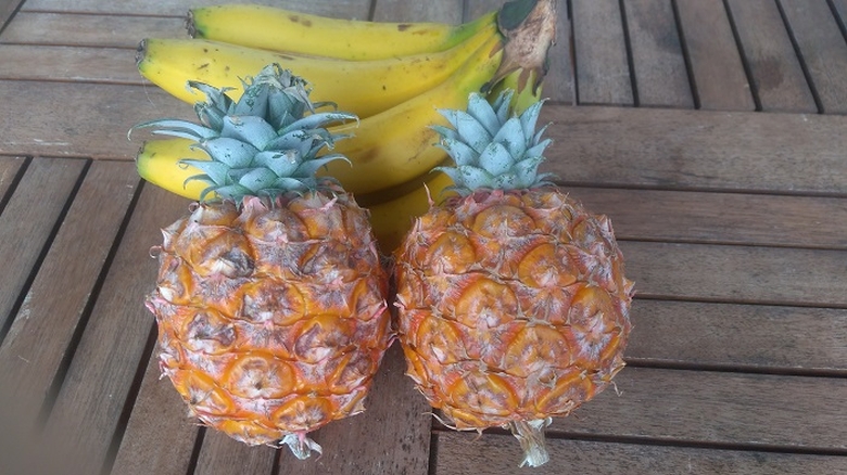 ananas de Azore | miniananas |