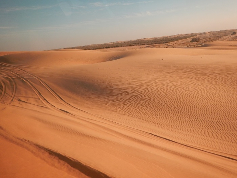 Safari in desert | dune de nisip |