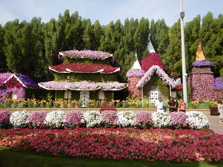 Miracle Garden | Dubai | Calatorul Multumit