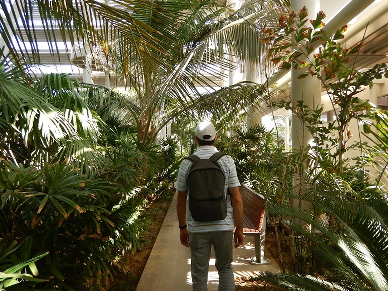 Um am Emarat | parc Abu Dhabi | gradina botanica |