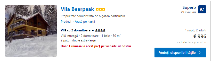 Vila Bearpeak | vile Predeal |