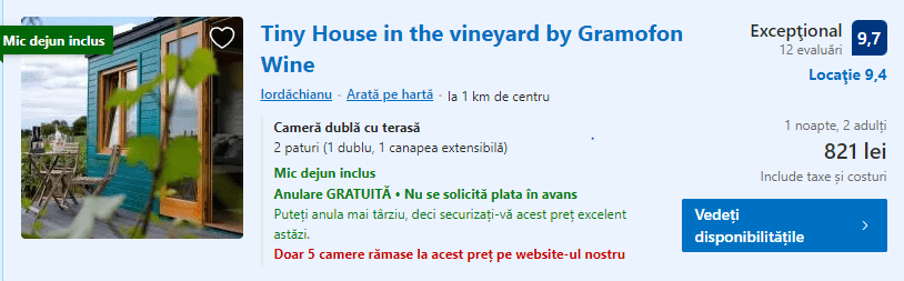Tiny House in the vineyard | podgorie Prahova | crame si podgorii |