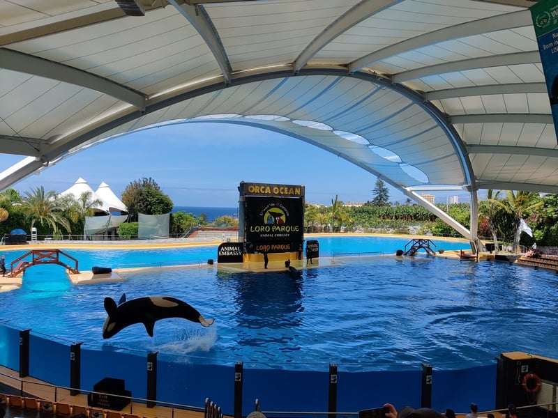 Loro Parque Tenerife | Loro Park Tenerife | 