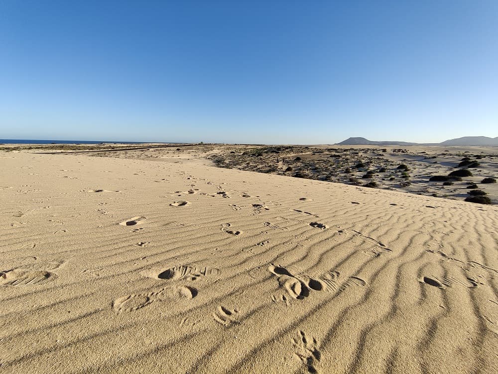 Dune Corralejo | fuerteventura