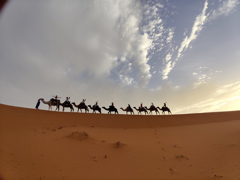 camile in sahara | plimbare cu camila in maroc | camile in sahara | 