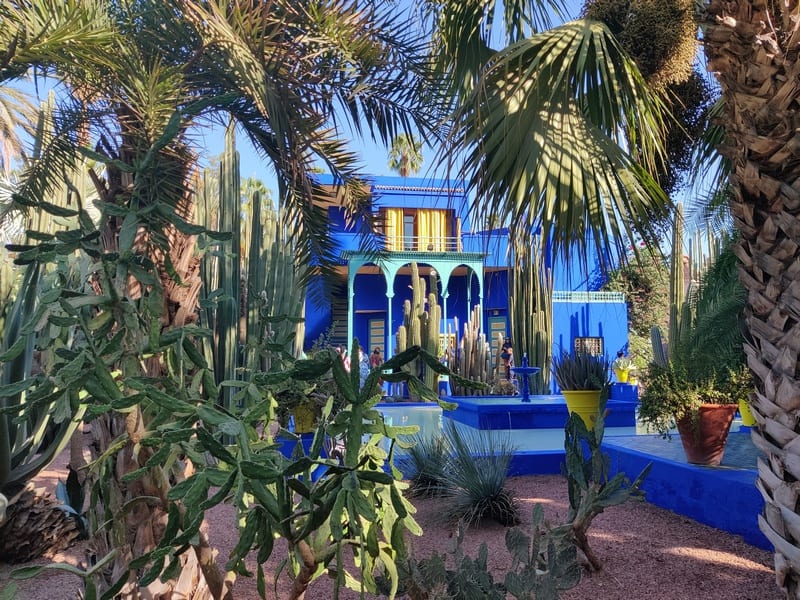 gradinile majorelle | majorelle marrakech | atractii marrakech |