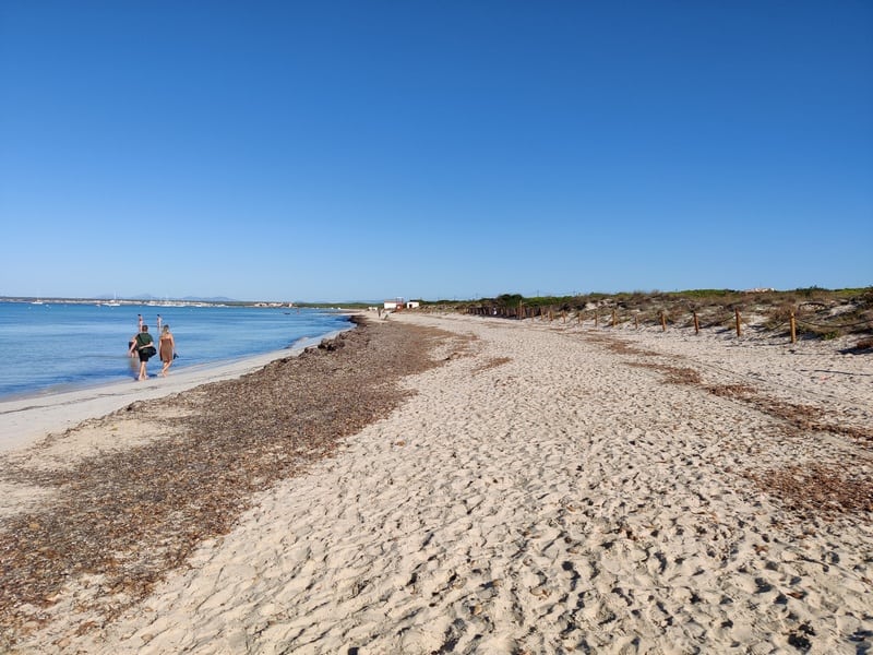 Cala Es Trenc | plaja es trenc mallorca | topul plajelor din mallorca | plaje mallorca baleare |