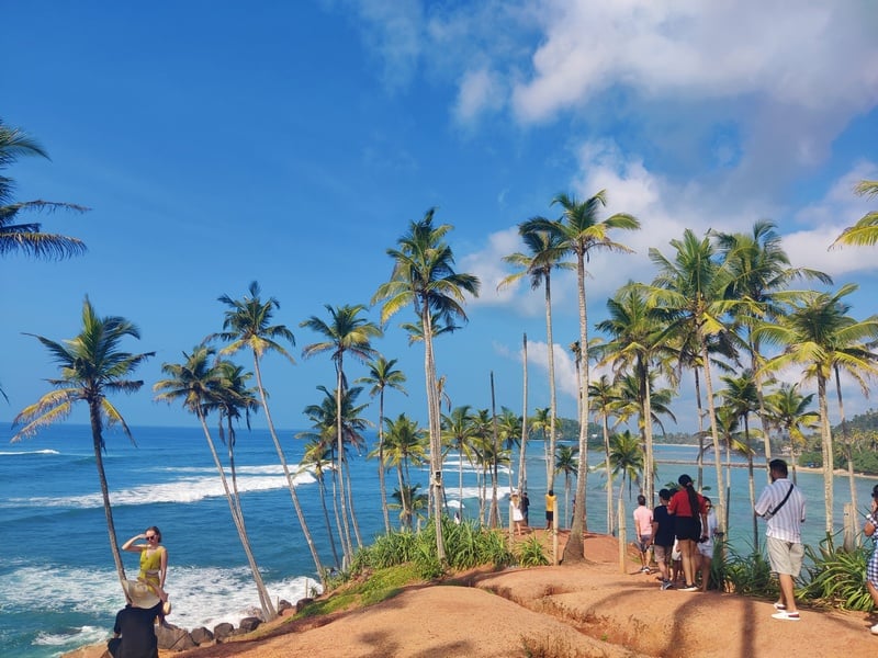 coconut tree hill | palmieri sri lanka | vegetatie sri lanka | panorame sri lanka |