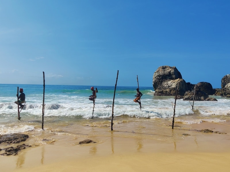 pescari sri lanka | stilt fishers | pescuit traditional in sri lanka | 