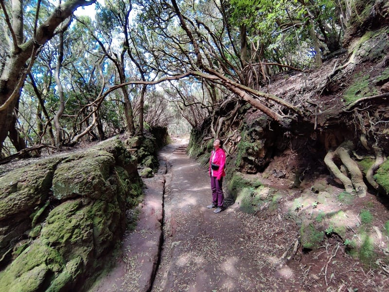 tenerife anaga | atractii tenerife | anaga tenerife | vacanta in tenerife spania | trekking tenerife |