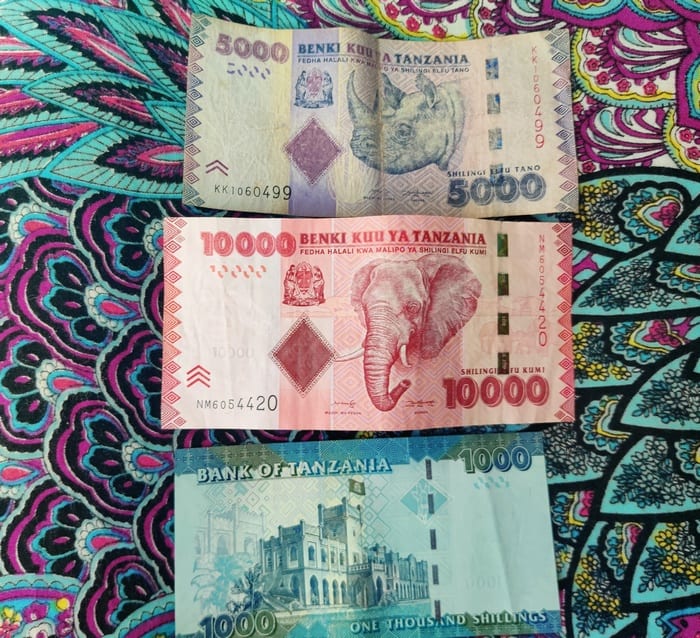 moneda zanzibar | slingul tanzanian | bani din zanzibar |