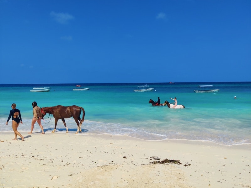 plaja nungwi zanzibar | plajele din zanzibar | recomandari vacanta zanzibar | vacanta zanzibar | top plaje zanzibar |